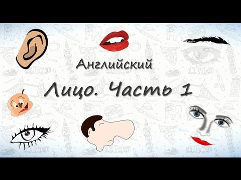 Части лица на английском (часть 1). Запоминаем части лица на английском