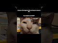 #memes #edit #funny