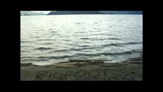 BIGFOOT'S REFLECTION - 1 x 48 minutes