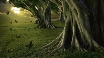 سورة النمل /القارئ رعد الكردي