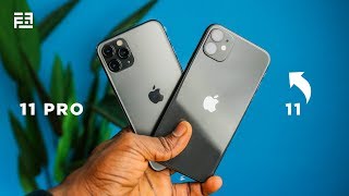 Why the iPhone 11 is the BETTER choice: A Review!