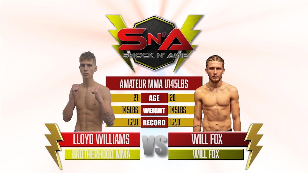 Williams MMA Blog Archives - 01/2016