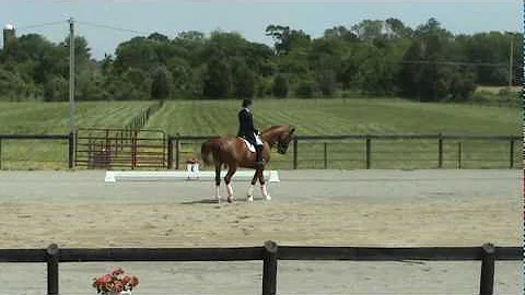 Dressage Freestyle Fundraiser, Adriane Alvord and ...