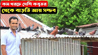 কম খরচে একমাত্র দেশি কবুতর থেকে বাড়তি আয় করা সম্ভব জানালেন খামারি | দেশি কবুতরের খামার | Pigeon Farm