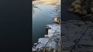 Werend dem angeln am Rhein an der Katastrophe der Flut an der ahr Mündung vorbei gekommen(zerstört)