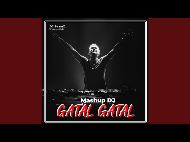 DJ Gatal Gatal - Inst class=