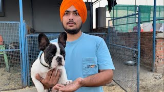 Paaji ka Mini Zoo in Haldwani and Cute Rottweiler puppies by Pankaj Parihar Uttarakhandi 19,442 views 1 year ago 15 minutes