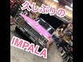 久しぶりのIMPALA