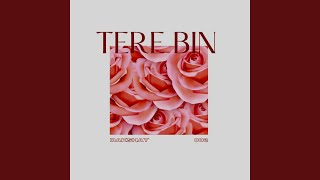 Tere Bin