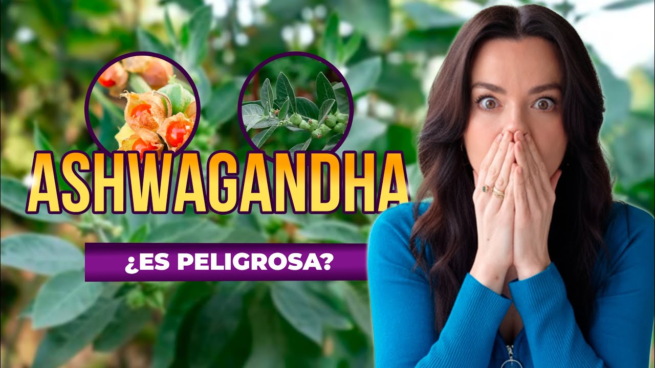 ¿Deberías tomar ashwagandha? Mira esto antes