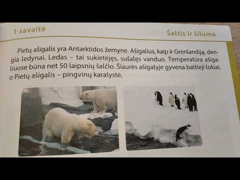 Video: Šiaurės Ašigalio Laukinė Gamta