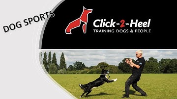 Di Martin - Competition Heelwork