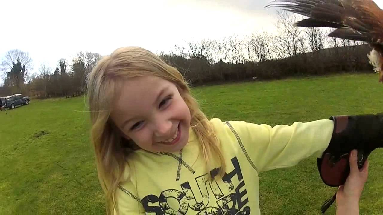 East Sussex Falconry Experiences Promotion