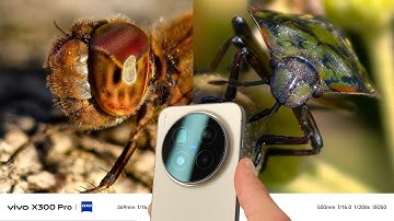 Vivo X300 Pro Camera Test: Macro Photography