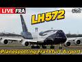 🔴LIVE Night Planespotting Frankfurt LH Queen 100 Jahre Livery LH572🛫