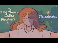 The flower called nowhere  oc animatic