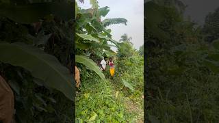  afrobeat afrobeats new automobile comedy amapianotv funny funny afropop