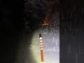 【心霊】樹海ライブ配信!恐怖を生放送で感じてください…
