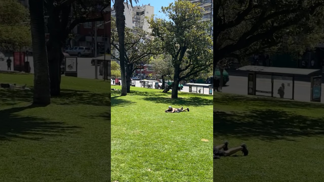 Лето в октябре БА 