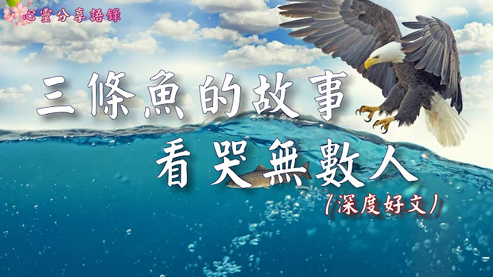 三条鱼的故事，看哭无数人 ( 深度好文  )–––《心灵分享语录》 - 天天要闻