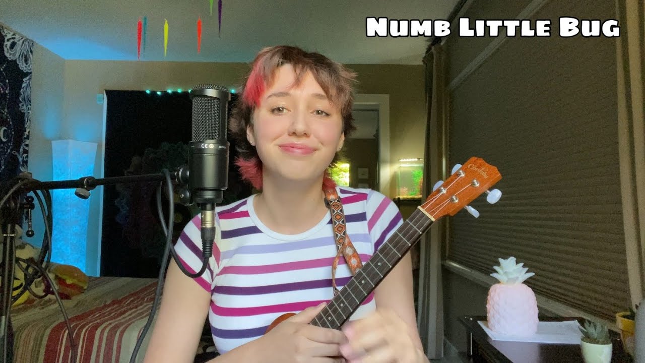 Numb Little Bug - Em Beihold (Cover)