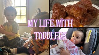 Amish Meatballs / Dressing My Toddlers / Meet Our Little Dog