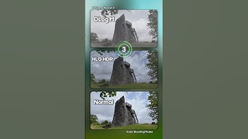 HLG HDR vs DLog-M vs Normal Modes | Raw vs Colorgraded | DJI Osmo Pocket 3 | 4K Colorgrading