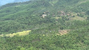 8.300 hộ đồng bào miền núi thiếu đất sản xuất ở Quảng Ngãi