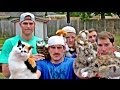 Trick shots and cats