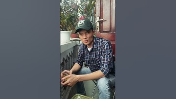 Kiếm tiền dễ với Forex ?  #shorts