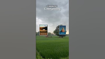 Try This Filter | Cinematic shorts | Tutorial shorts | Aesthetic video | Colour grading | #shorts