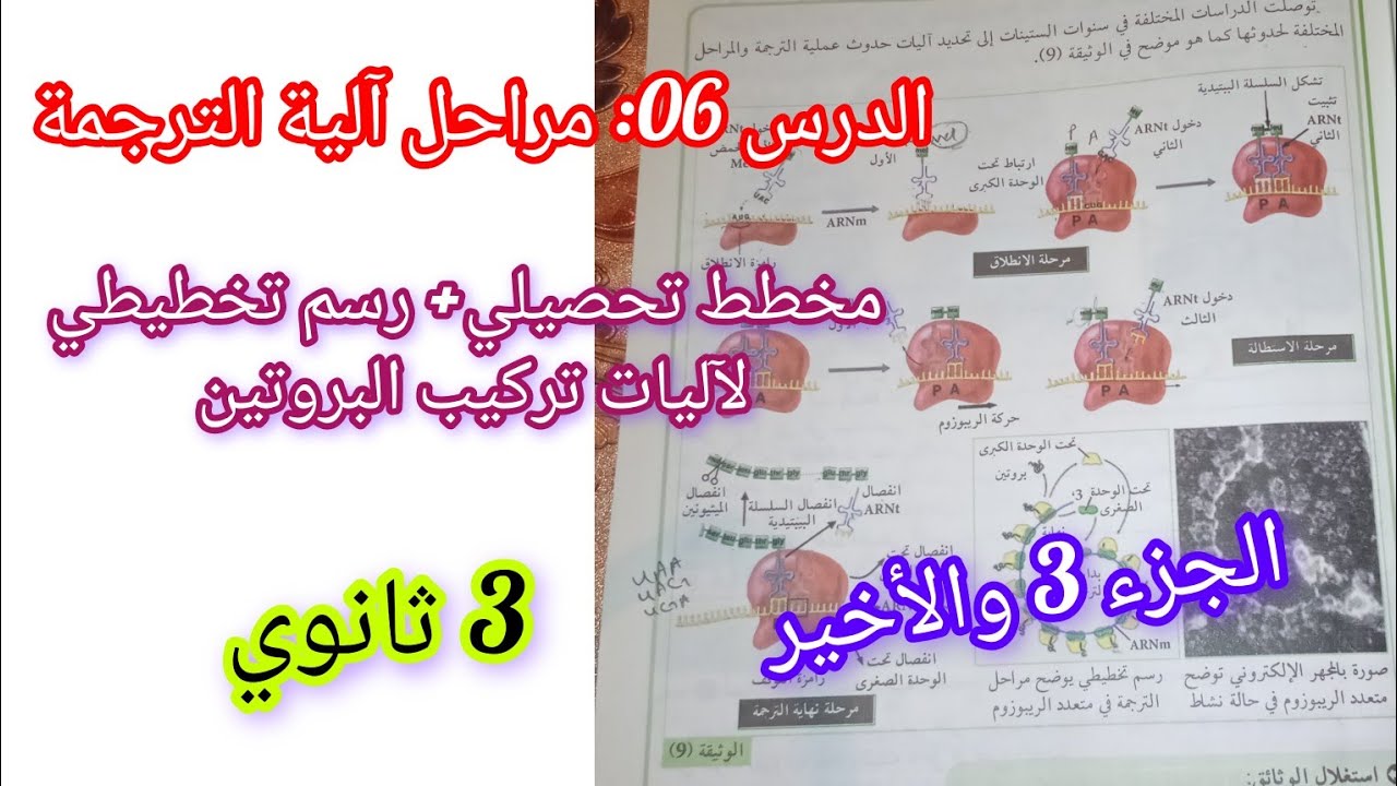 الدرس06: مراحل آلية الترجمة (مخطط تحصيلي+ رسم تخطيطي)لآليات تركيب البروتين/3 ثانوي {الجزء3و الأخير}