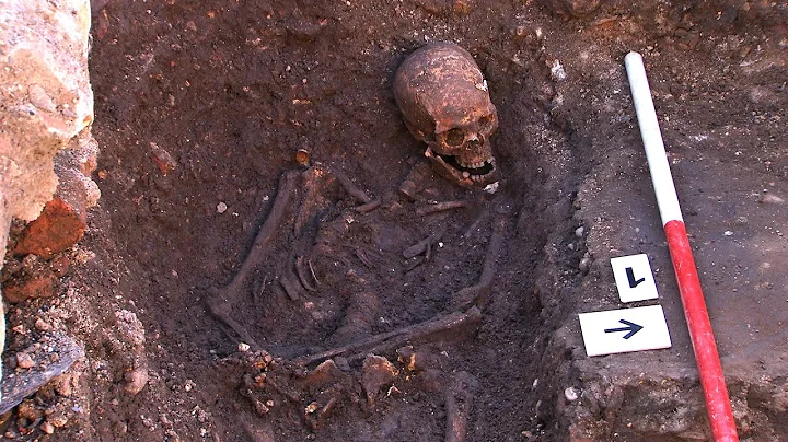 Richard III - The Archaeological Dig