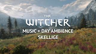 The Witcher 3 - Skellige Music + Day Ambience