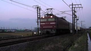 【信越本線】EF81貨物3098レ　(HD)