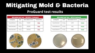 Mitigating mold & bacteria
