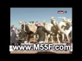 مسيرة منقية فهد بن عامر بن شليه السبيعي في مزاين ام رقيبه 1436 هـ 2014 م مسيرة منقية فهد بن عامر بن شليه السبيعي في مزاين ام رقيبه 1436 هـ 2014 م