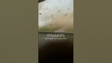 تلاوة خاشعة جميلة بصوت ياسر الدوسري ارح سمعك #ياسر_الدوسري