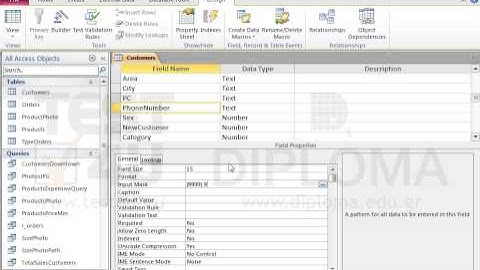 Insert the appropriate input mask in the PhoneNumber field of the Customers table, so that the...