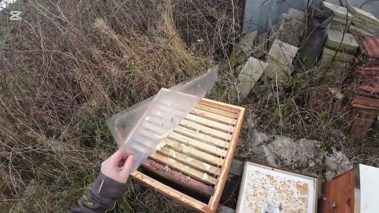 Padly mi včely!!! :(