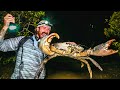 Coastal foraging for big crabs by hand  ultimate reef  beef cookup