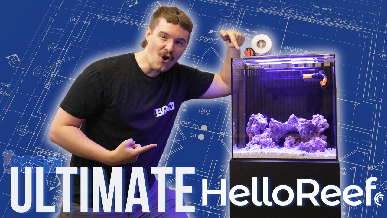 We Built the ULTIMATE HelloReef Tank! Episode 1