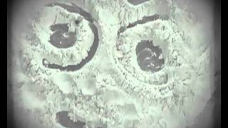 Mamas Secret Recipe Book