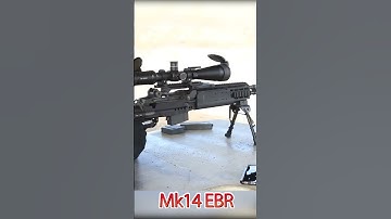 The power of Mk 14 Enhanced Battle Rifle? #shorts #mk14