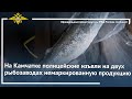 Ирина Волк: На Камчатке полицейские изъяли на двух рыбозаводах немаркированную продукцию