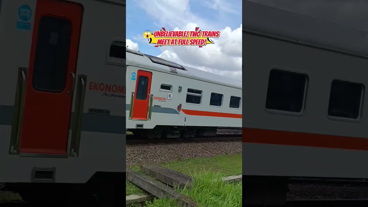 😳 Nobody Expected This Train Meet! 