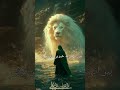 maula Ali alaihissalam vah kya#Noor e Islam