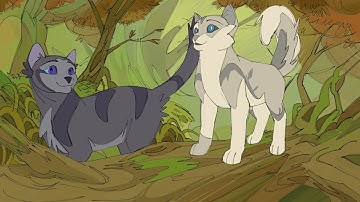 Running With The Wolves MAP Part 9