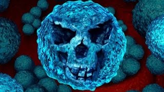 Новая супербактерия - угроза человечеству?
