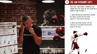 FightMaster How To Throw A Punch (Left Jab)